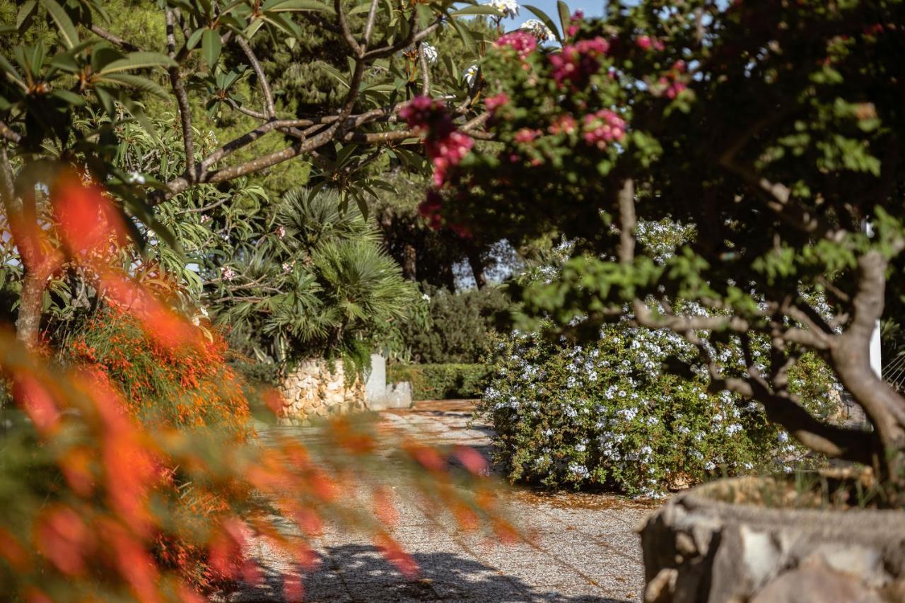 Giardino Dell'Impossibile Di Antonino Campo Διαμέρισμα Φαβινιάνα Εξωτερικό φωτογραφία